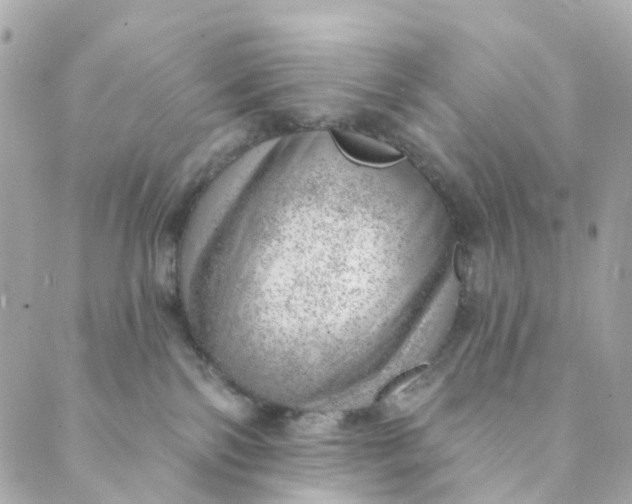 X0000088900138200706291514