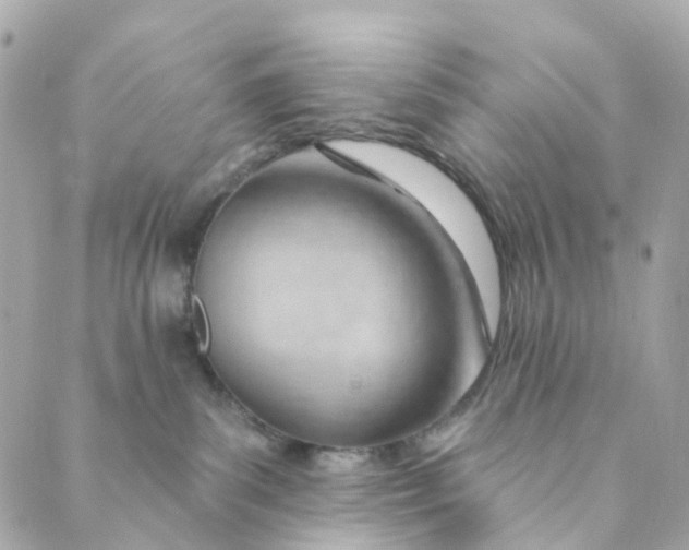 X0000088900139200706291514