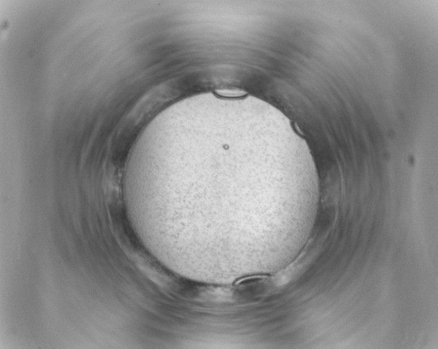 X0000088900140200706291514