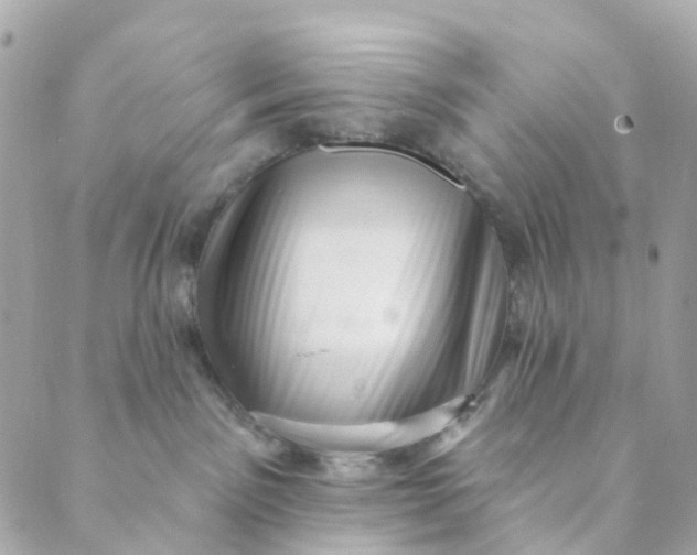 X0000088900141200706291514