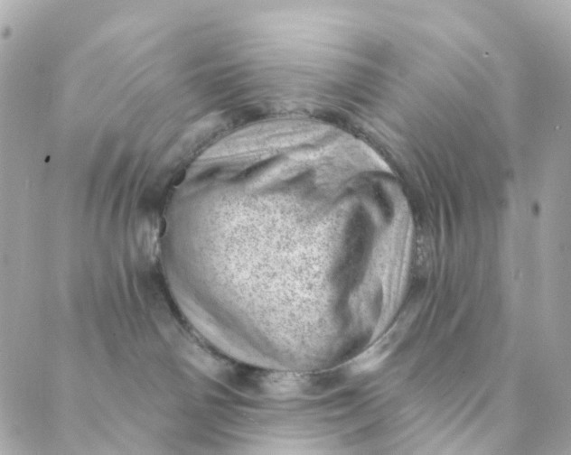 X0000088900142200706291514