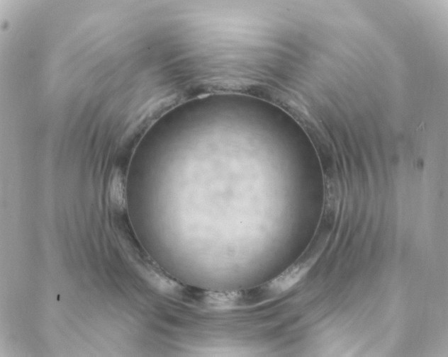 X0000088900143200706291514