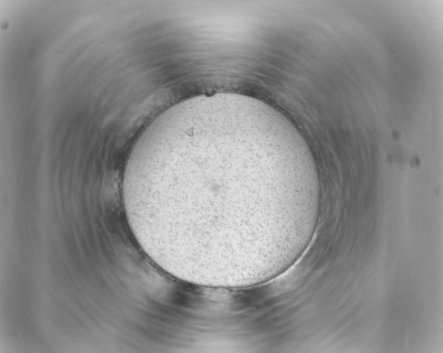 X0000088900144200706291514