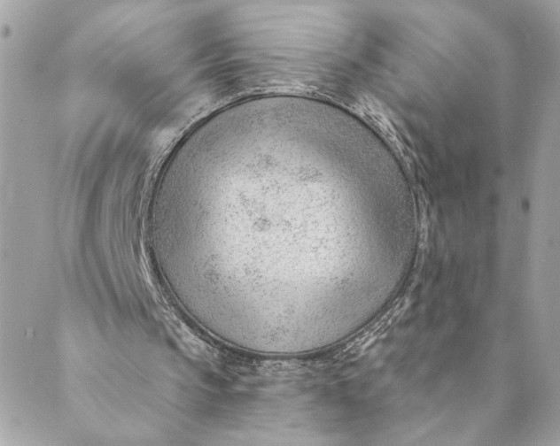 X0000088900145200706291513