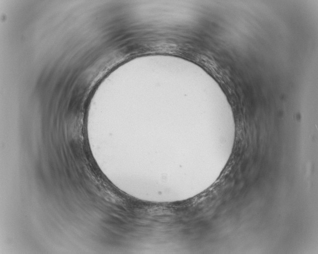 X0000088900146200706291513