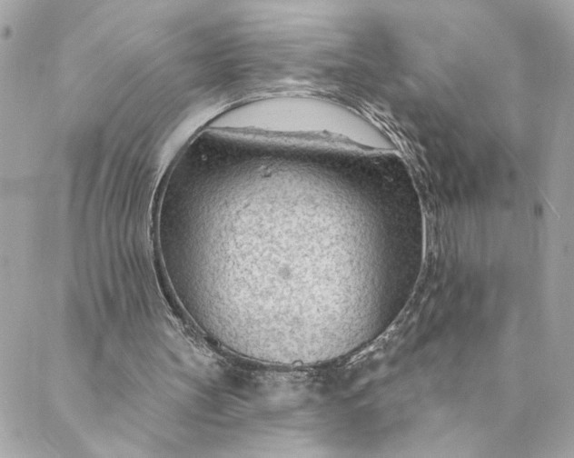 X0000088900147200706291513