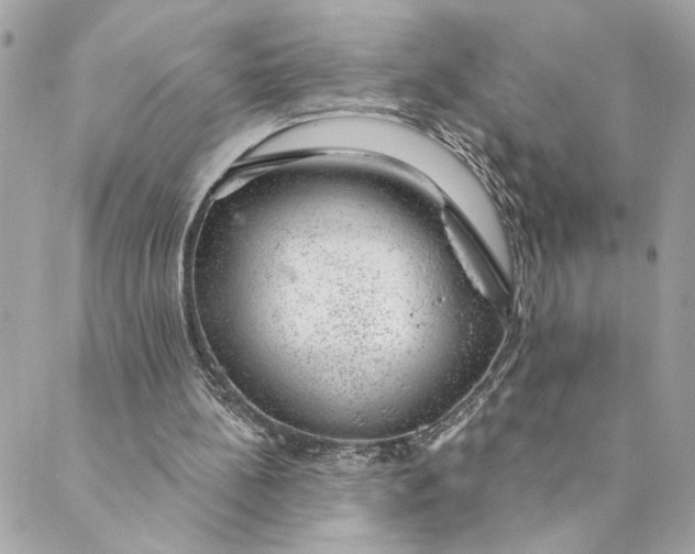 X0000088900148200706291513