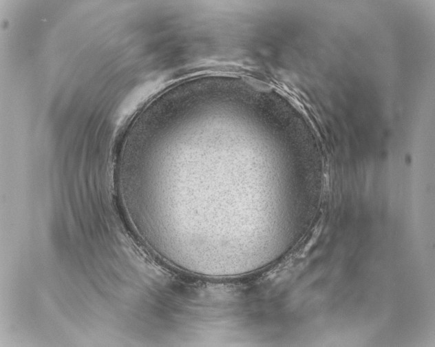 X0000088900149200706291513