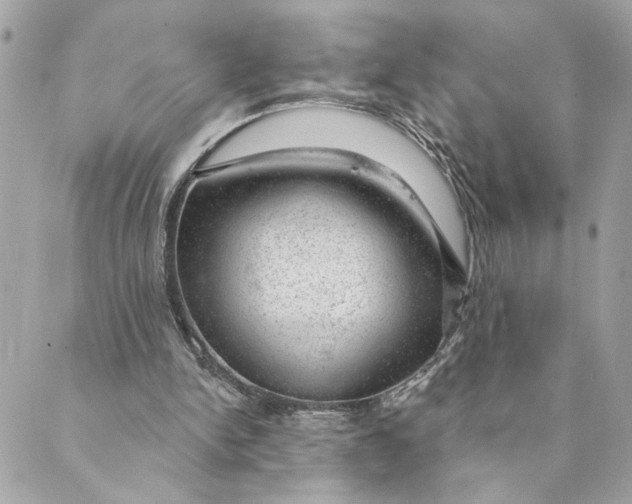 X0000088900150200706291513