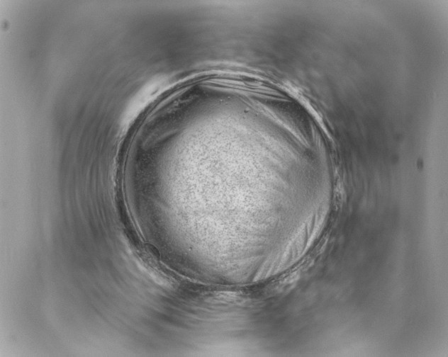 X0000088900151200706291513