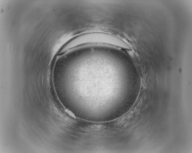 X0000088900152200706291513