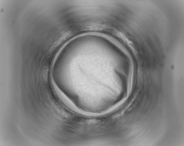 X0000088900153200706291513