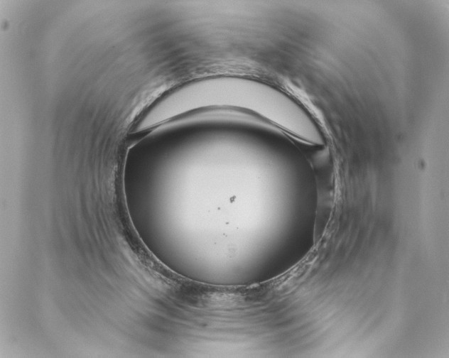 X0000088900154200706291513