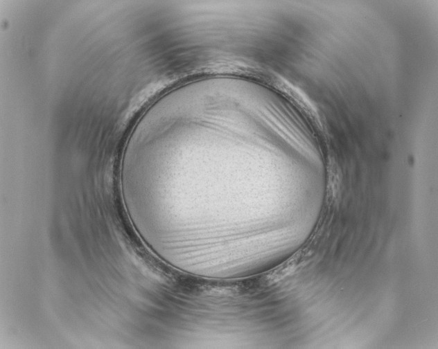 X0000088900155200706291513