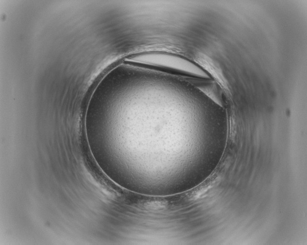 X0000088900156200706291513