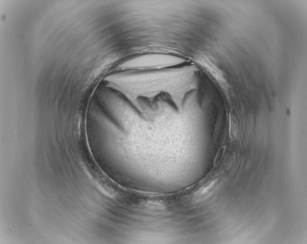 X0000088900157200706291513