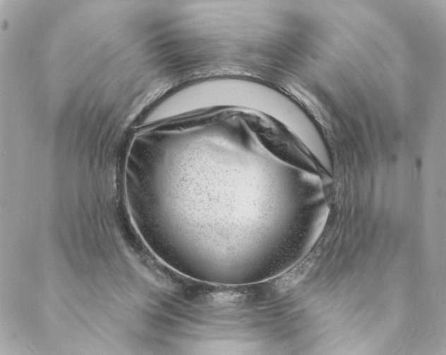 X0000088900158200706291513