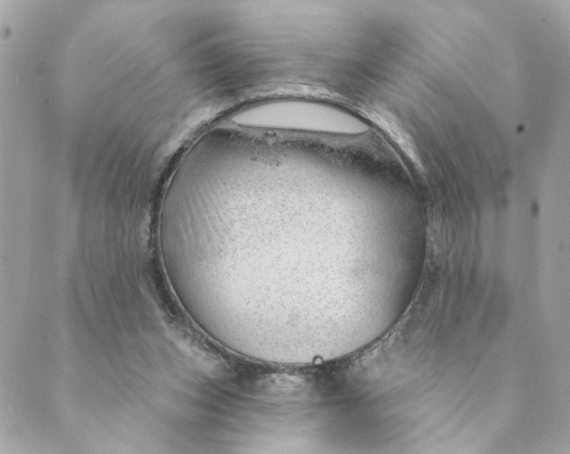 X0000088900159200706291513