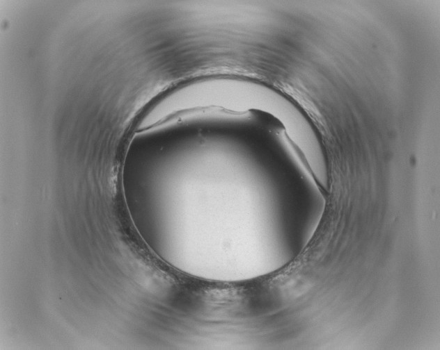 X0000088900160200706291513