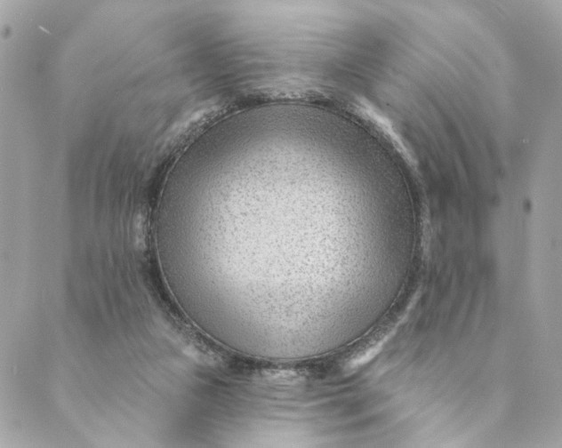 X0000088900161200706291513