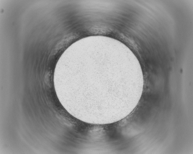 X0000088900162200706291513