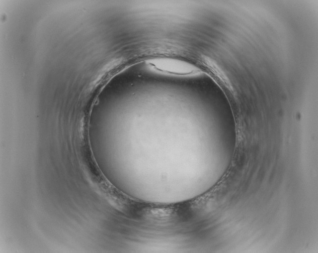 X0000088900163200706291513