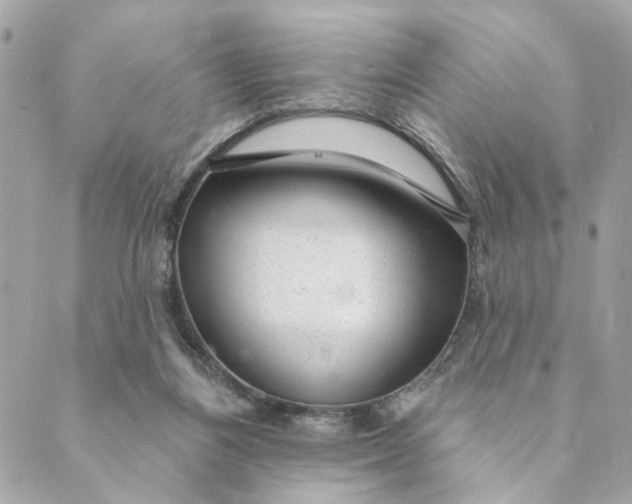 X0000088900164200706291513