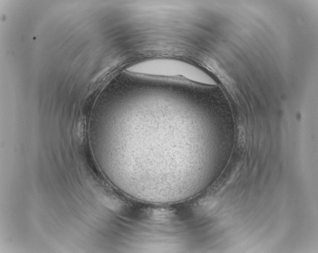 X0000088900165200706291513