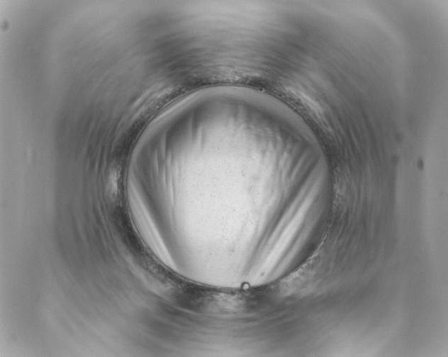 X0000088900166200706291513