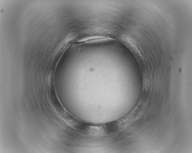 X0000088900167200706291513