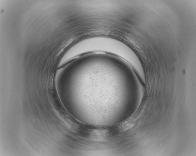 X0000088900168200706291513