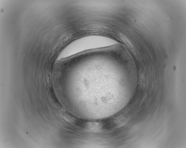 X0000088900169200706291513