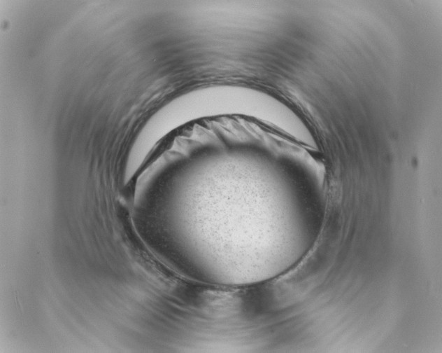 X0000088900170200706291513