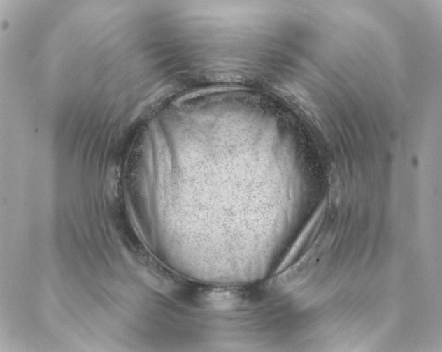 X0000088900171200706291513