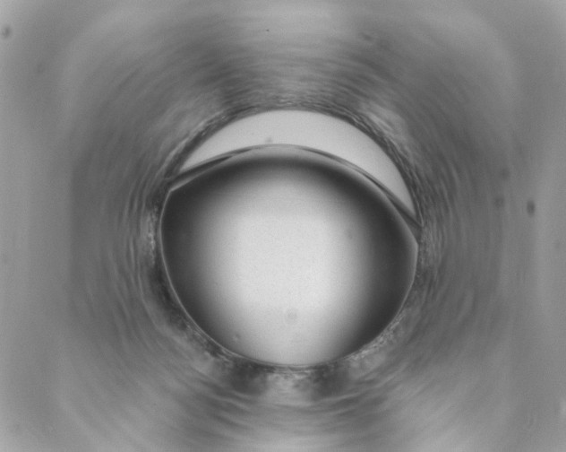 X0000088900172200706291513