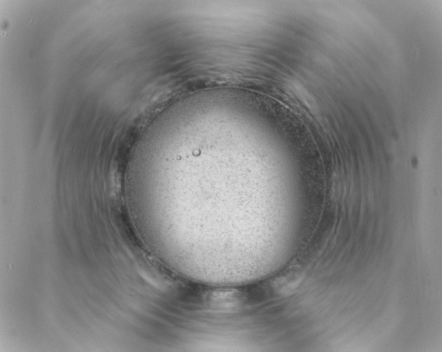 X0000088900173200706291513