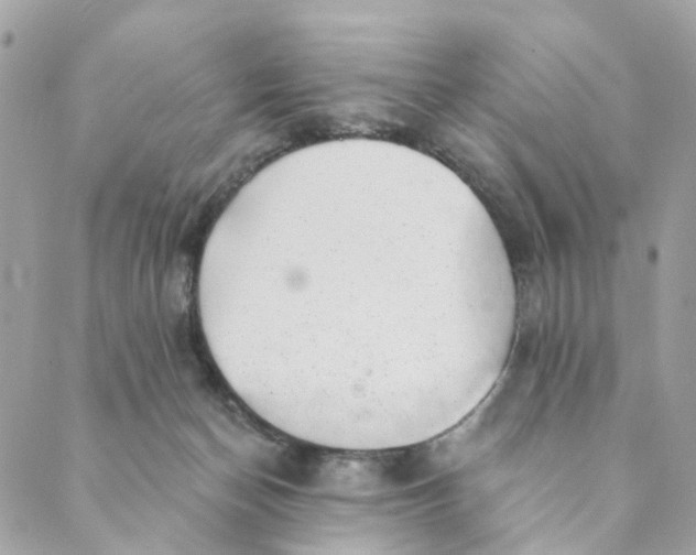 X0000088900174200706291513