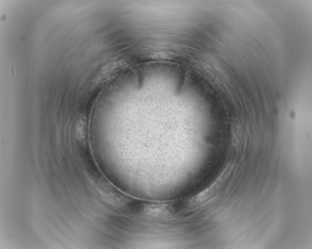 X0000088900175200706291513