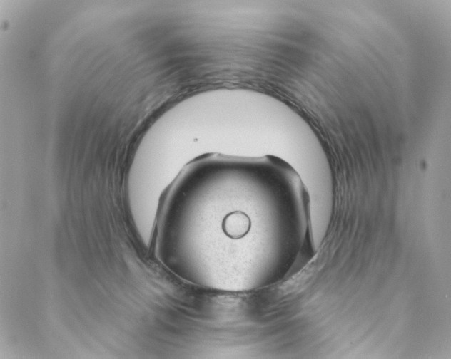 X0000088900176200706291513