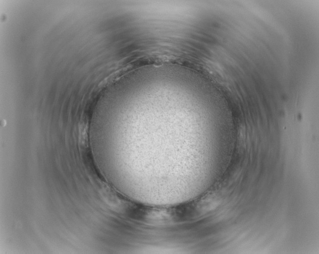 X0000088900177200706291513