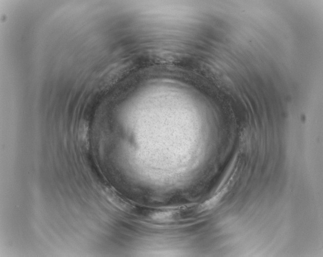 X0000088900178200706291513