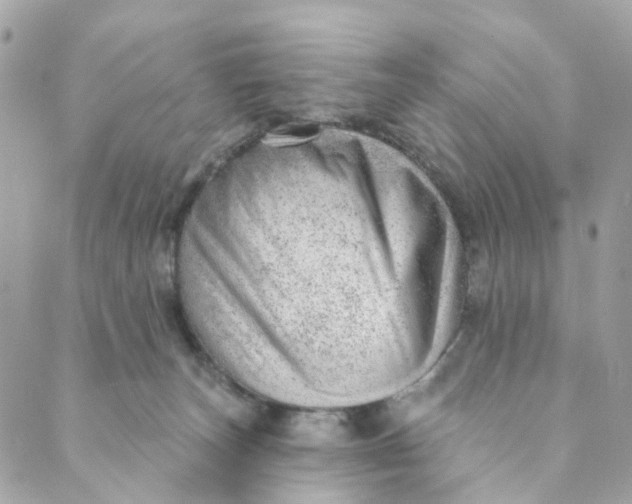 X0000088900179200706291513