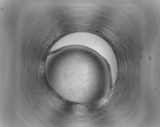 X0000088900180200706291513