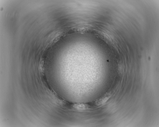 X0000088900181200706291513