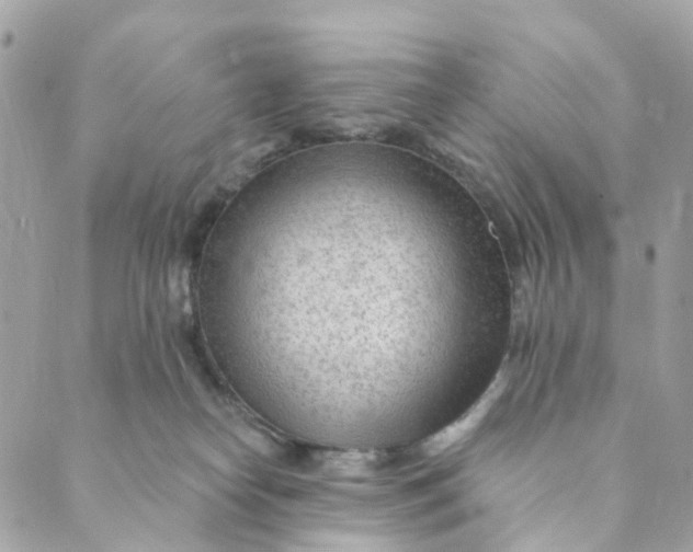 X0000088900182200706291513