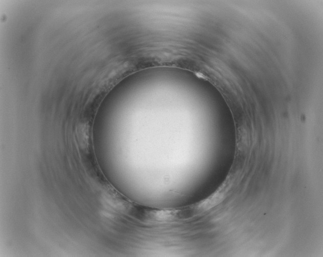 X0000088900184200706291514