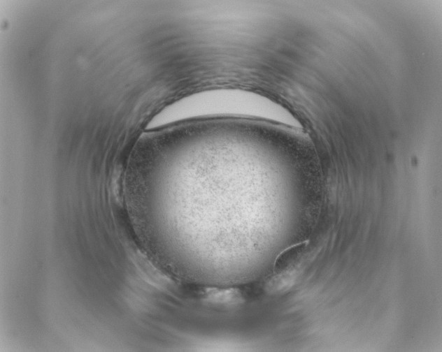 X0000088900185200706291514