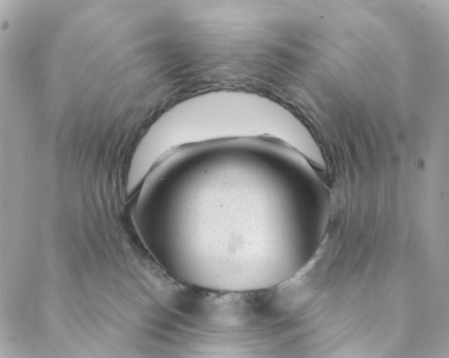 X0000088900186200706291514