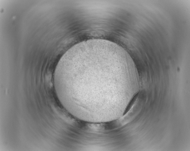 X0000088900187200706291514