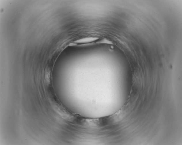 X0000088900188200706291514